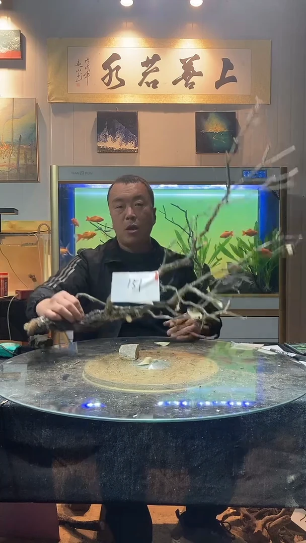 151号天然黄栎木