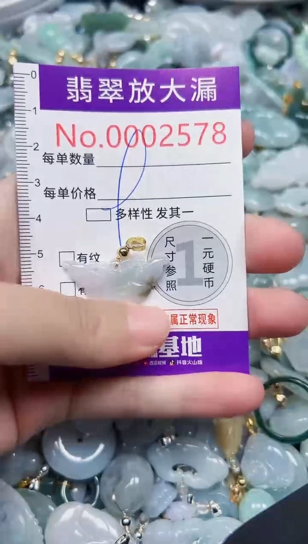 颈饰未镶嵌翡翠2578