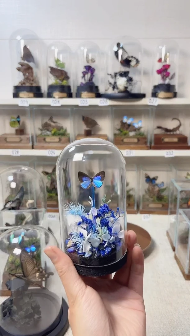 玻璃真实自然标本造景款A-
