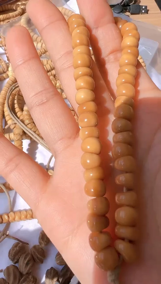 【闪购商品】菩提根/象牙果手串龙脊卡8左右蒜瓣大肠手持 3号