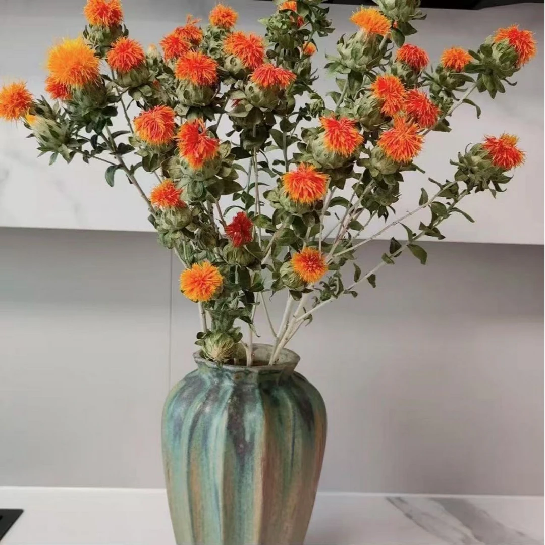 橙菠萝鲜切花云南基地直发花期长小众鲜花毕业花材半成品