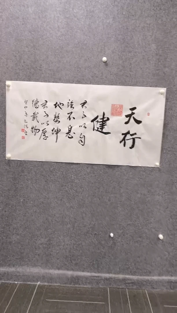 书法张则清《天行健》