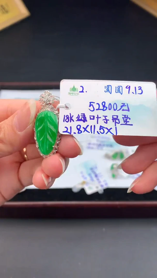 颈饰未镶嵌翡翠自带#送人#，联系客服核对地址~
