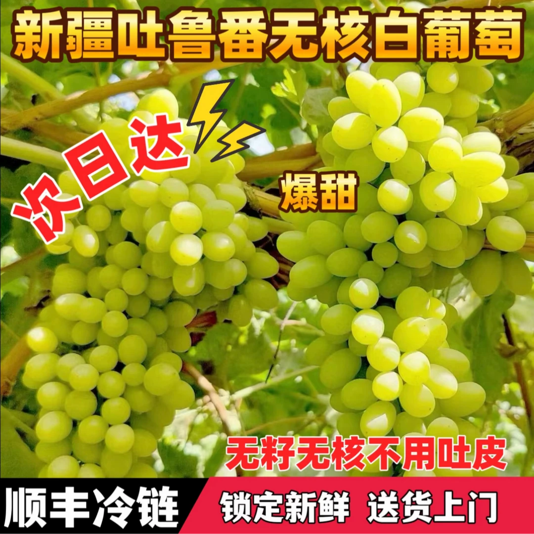 5斤【顺丰包邮】新疆吐鲁番火山边奶香无籽白葡萄小蜜蜂葡萄果商超果脆甜无酸新疆维吾尔自治区