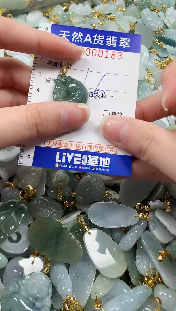 颈饰未镶嵌翡翠纯天然a货翡翠