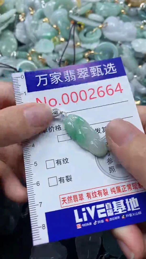 吊坠(不含链)未镶嵌翡翠2664