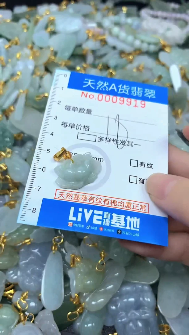 颈饰未镶嵌翡翠净货挂件-9919