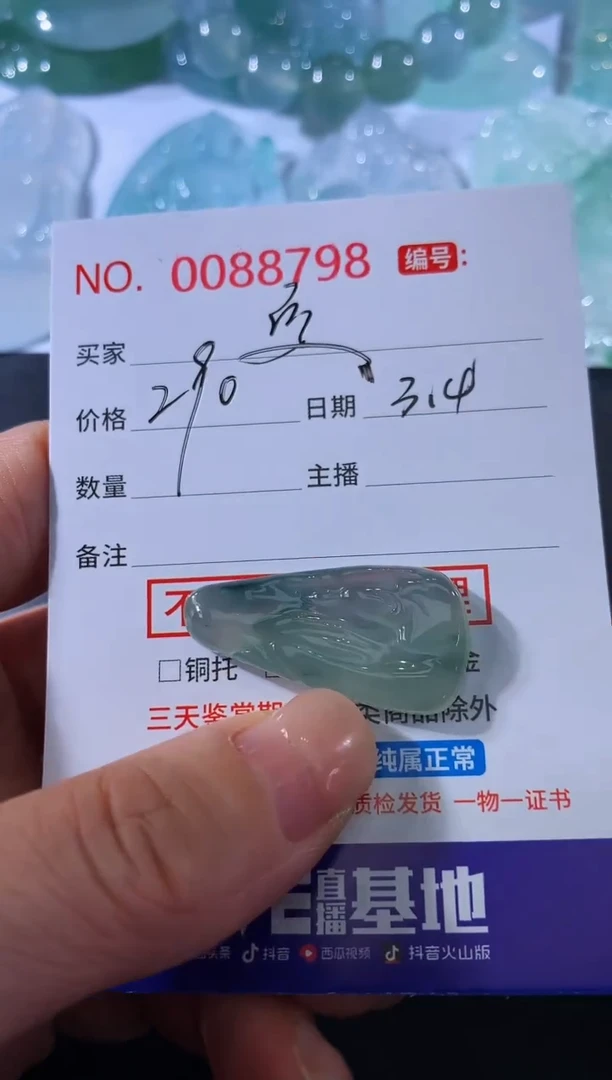 【闪购商品】翡翠颈饰未镶嵌夏