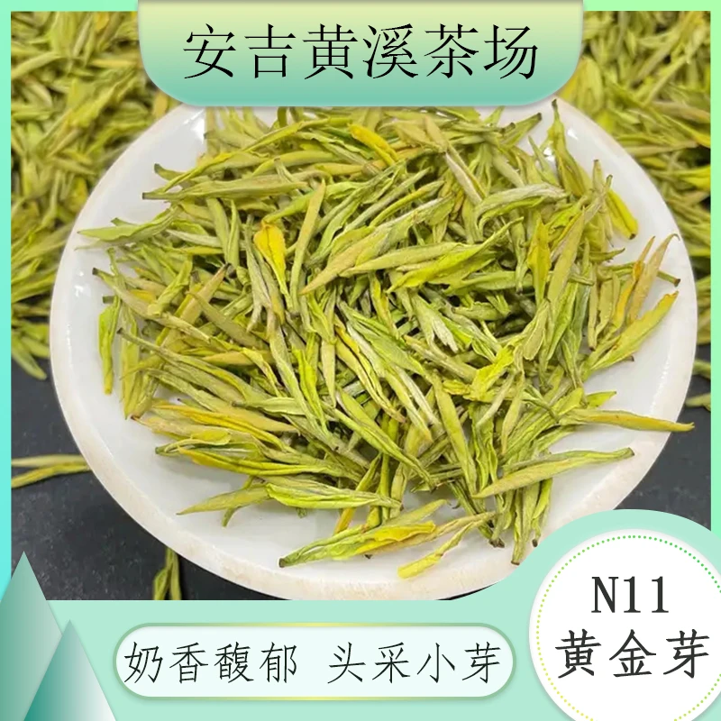2024安吉黄溪茶场新茶【黄金芽n11】奶香味浓郁高端送礼白茶
