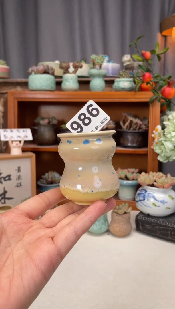 瓷片986知木小芳花盆