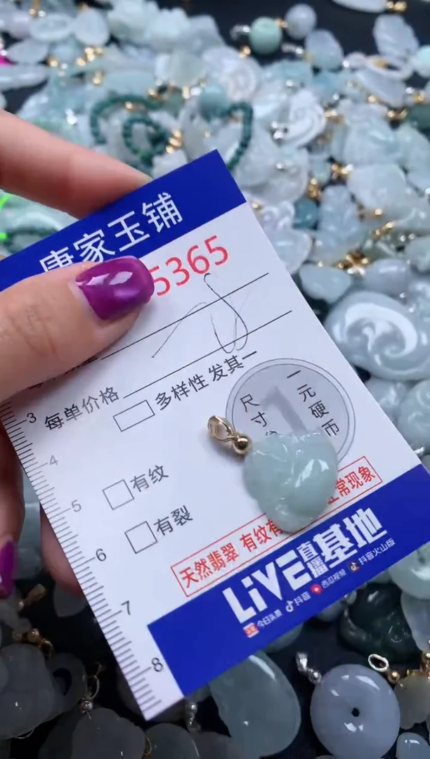 颈饰未镶嵌翡翠5365