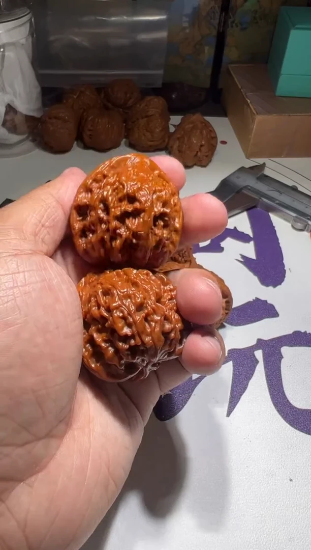 【闪购商品】文玩核桃把件宝阁文玩核桃蓟县元宝