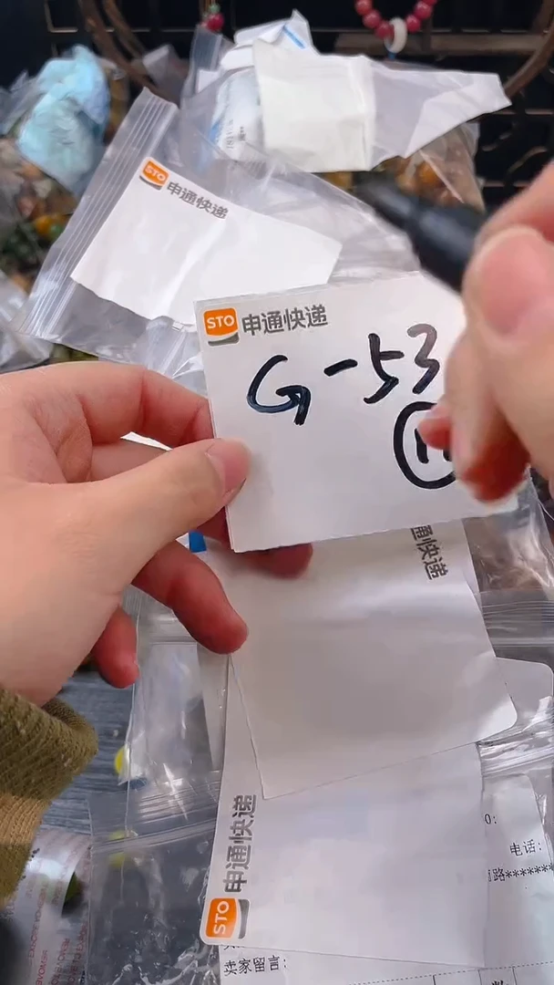 【闪购商品】菩提根/象牙果把件g53