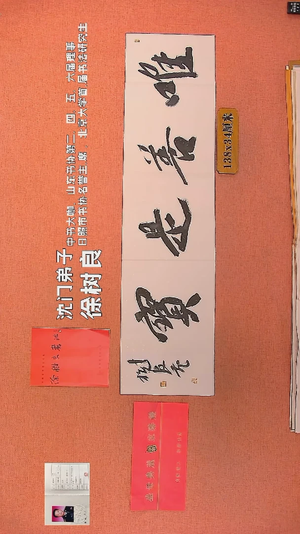 【闪购商品】书法87        徐树良书法作品