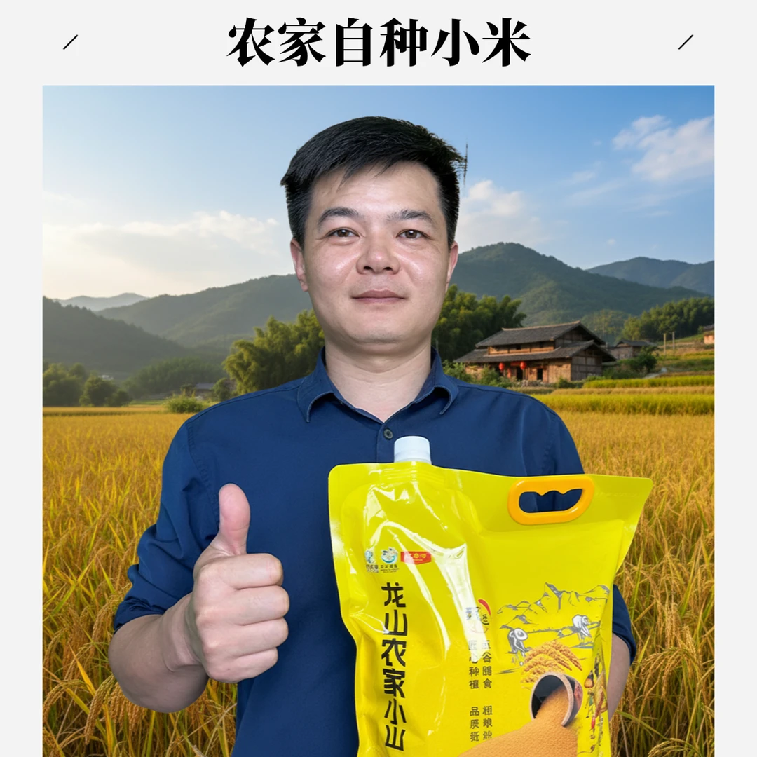 【龙山小米】当季新农家黄小米优质新米5斤装五谷杂粮农家米黄米