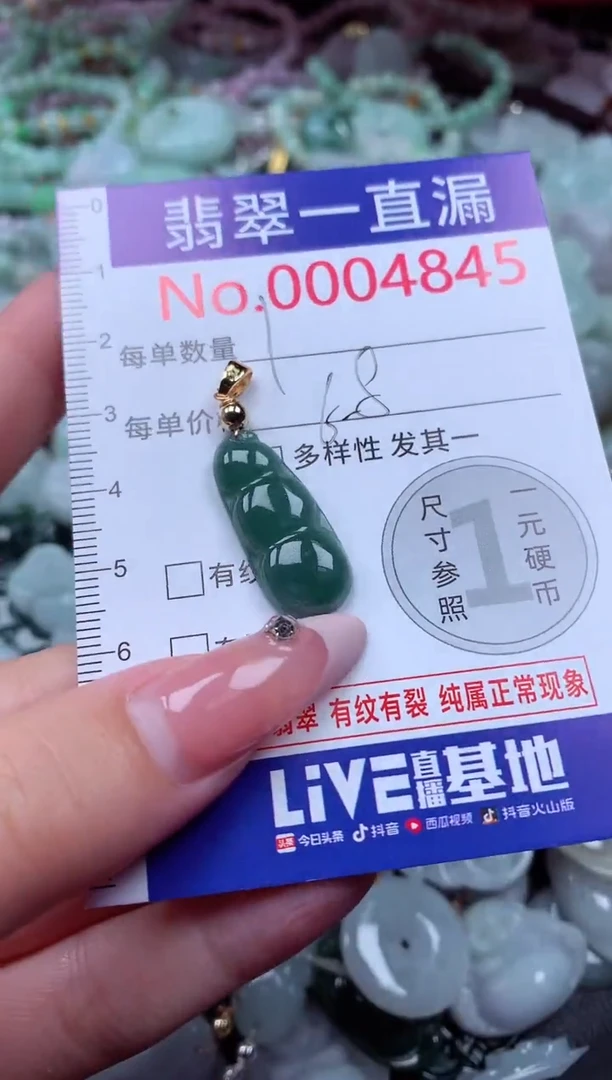 翡翠未镶嵌吊坠(不含链)4845