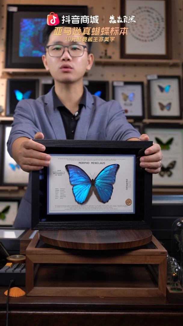 大蓝闪蝶新版本A4横版（带证书）