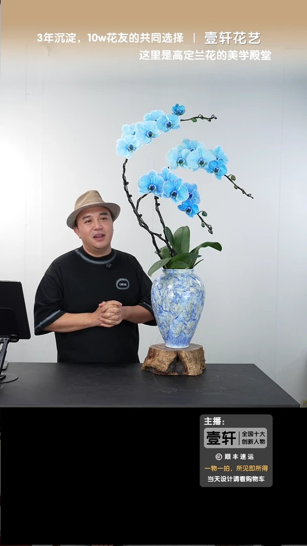 全部花朵021号链接【一物一拍】艺术盆景