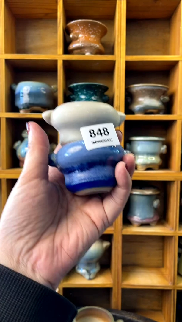 【闪购商品】陶848