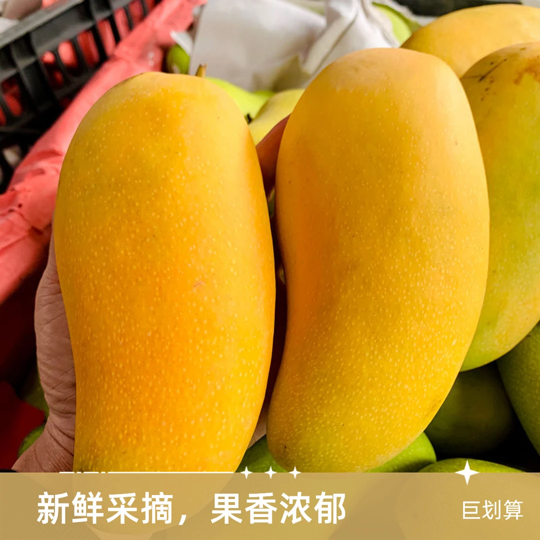 正宗金煌芒水仙芒果甜心芒应季孕妇新鲜水果热带水果现摘现发包邮