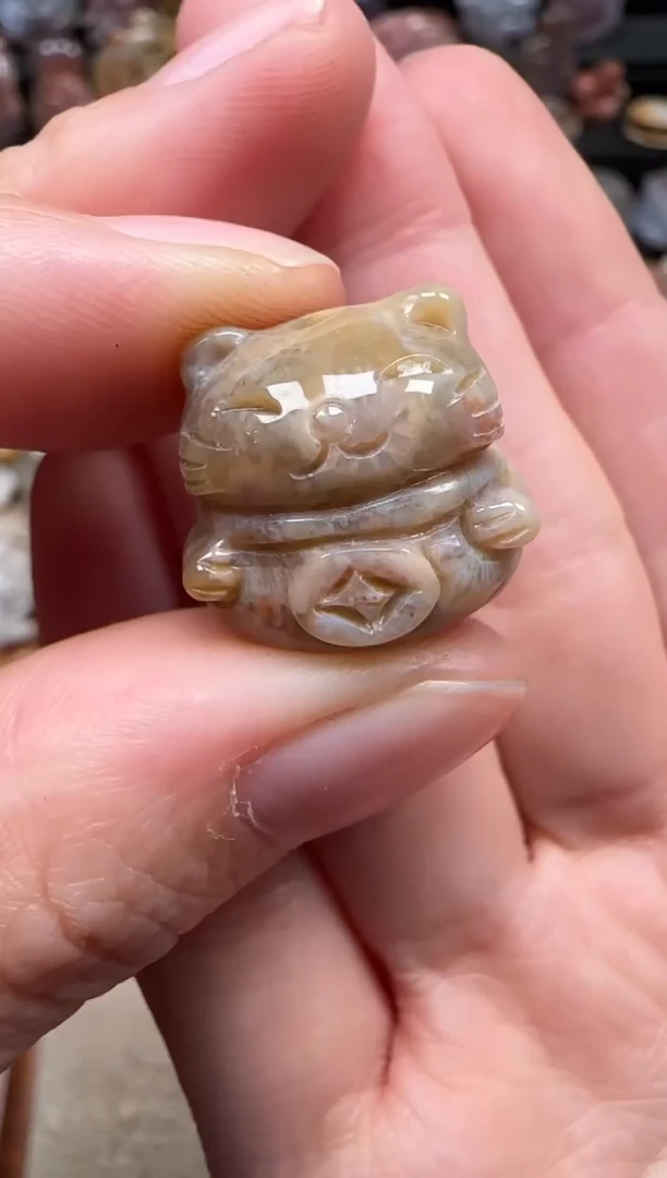 颈饰未镶嵌硅化珊瑚（珊瑚玉）723