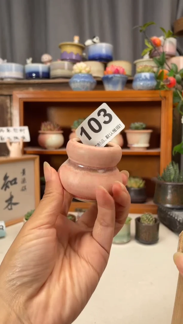 瓷片103知木小芳花盆