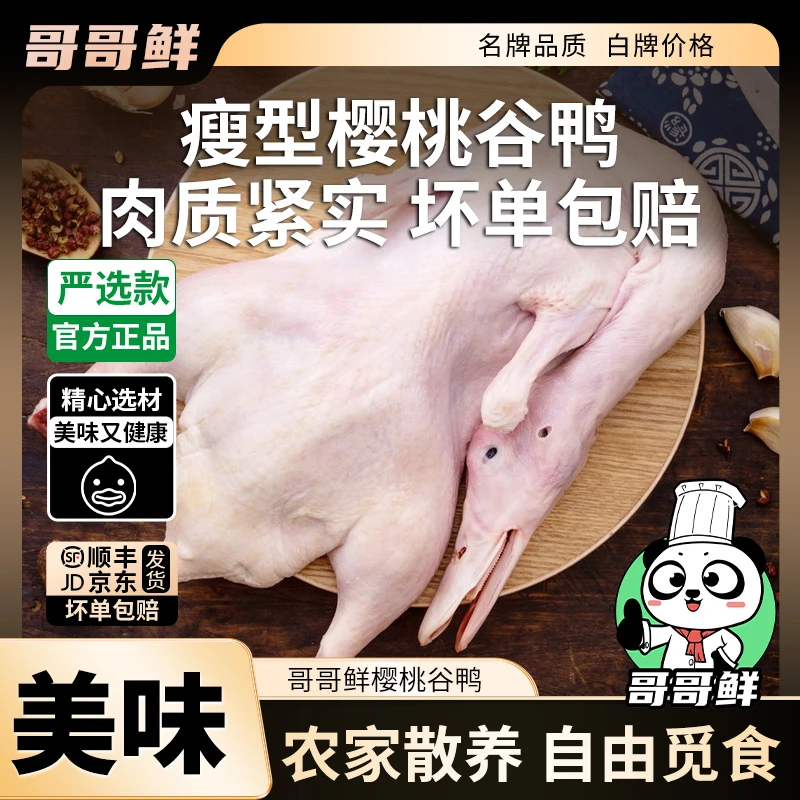 哥哥鲜谷饲散养樱桃谷鸭走地鸭溪水自游鸭