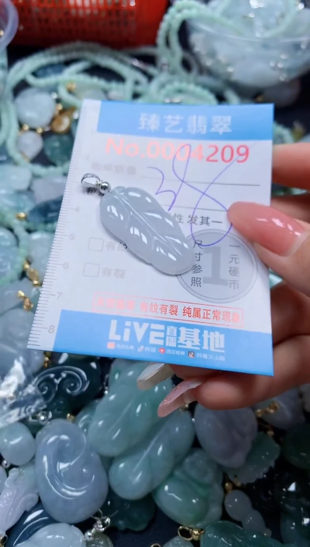 翡翠未镶嵌吊坠(不含链)4209