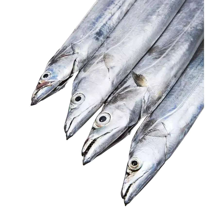 【青岛一脚泥合作社】北方冷水带鱼3斤低温急速锁鲜冷冻发货