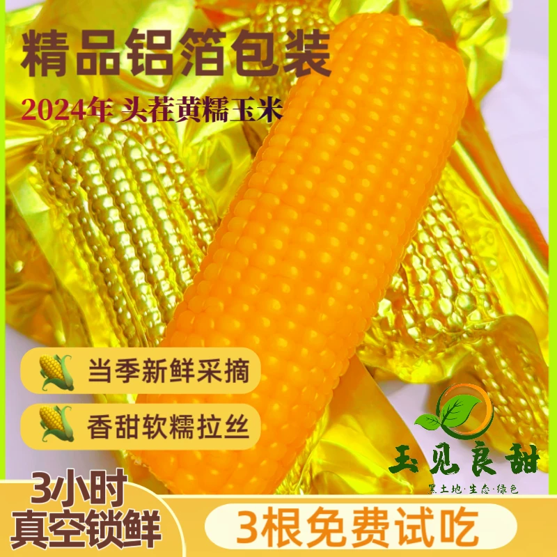 【试吃3根】鲜糯东北黄糯玉米10根5.5-6.5斤/箱 真空包装香甜软糯