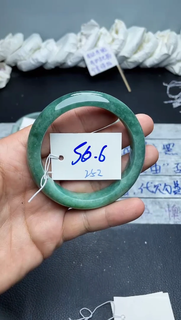 未镶嵌手镯翡翠252