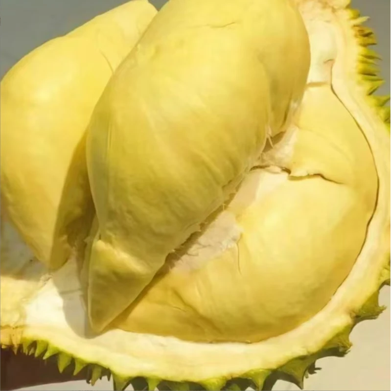 【品质榴莲】正宗泰国金枕榴莲现场开北京小时达果鲜榴莲验货每斤核小榴莲同城送金枕泰国东部金枕泰国