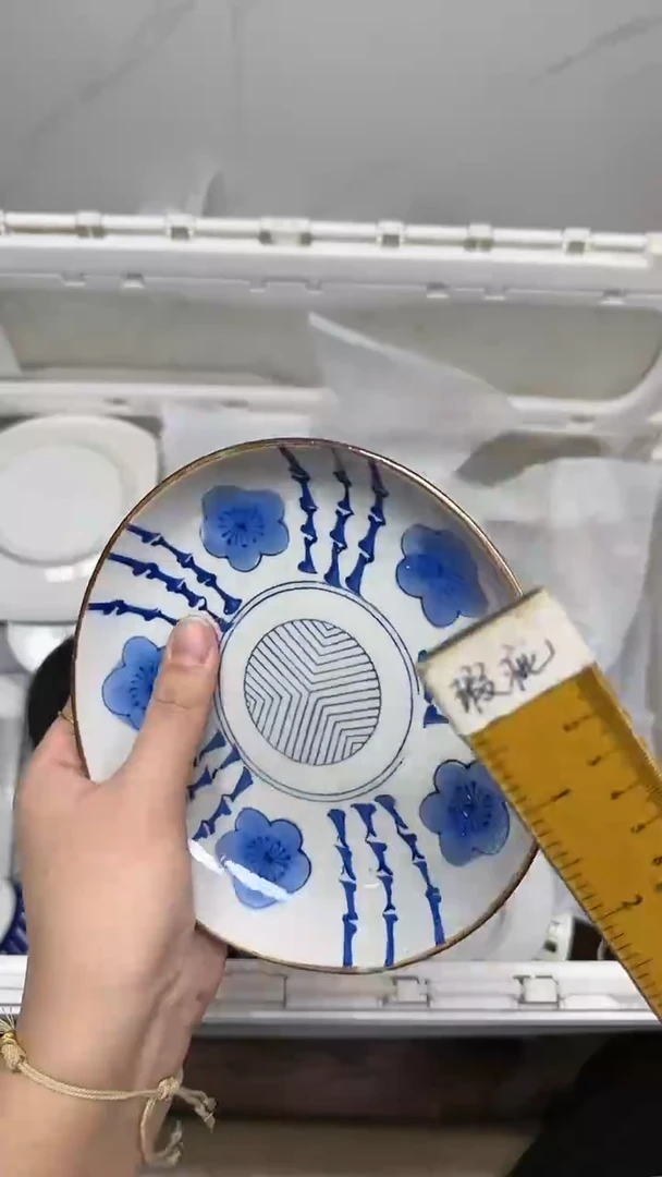 【闪购商品】5580回流瓷器默认微瑕，18.8包邮