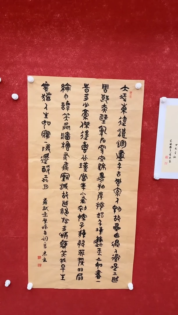 国画9.16-珍品-福利（无国检）-袁志良四尺书法-027