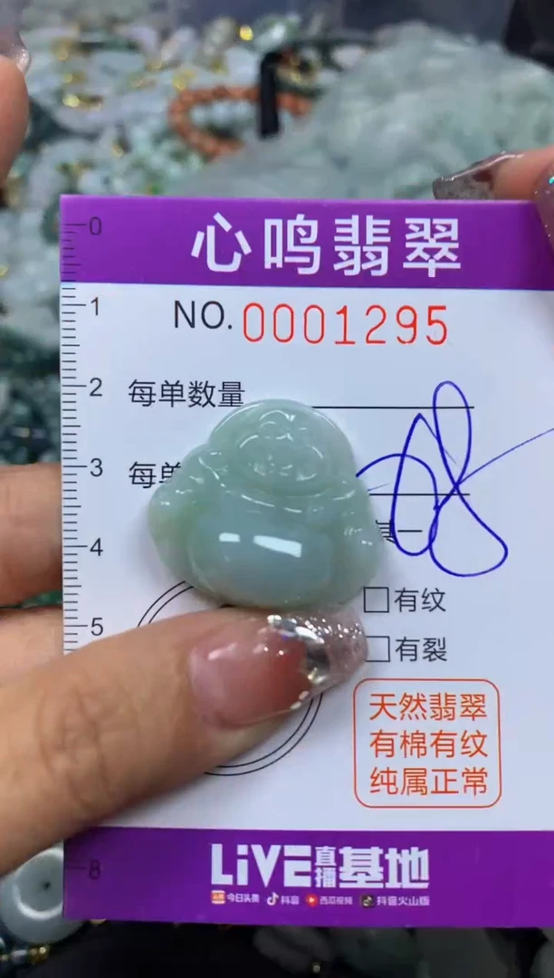 【闪购商品】翡翠颈饰未镶嵌闪购001295