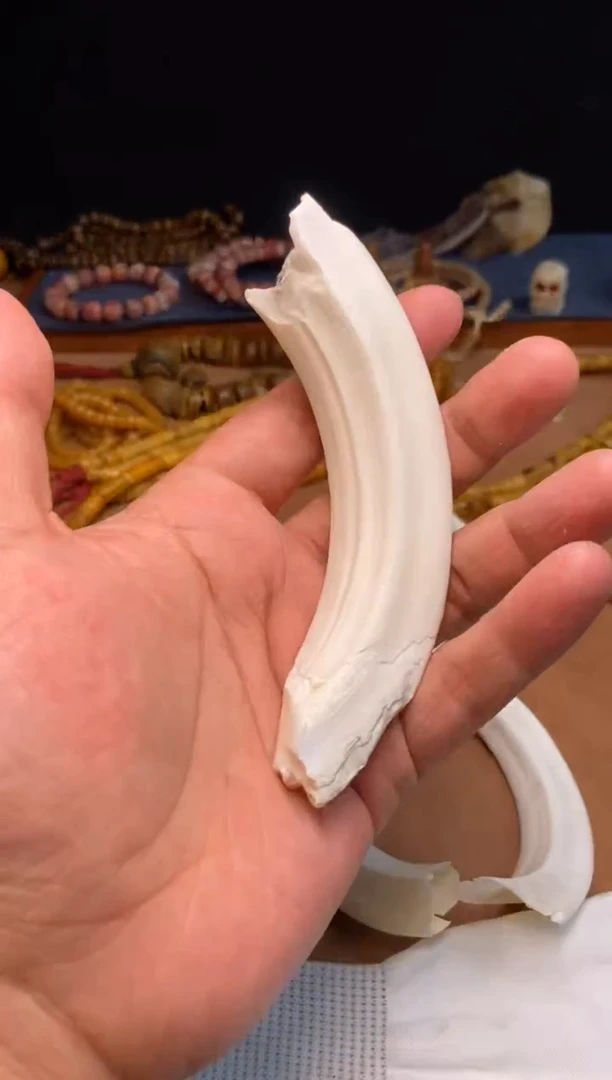 其他牛骨杂件661-瑕疵牙吊坠