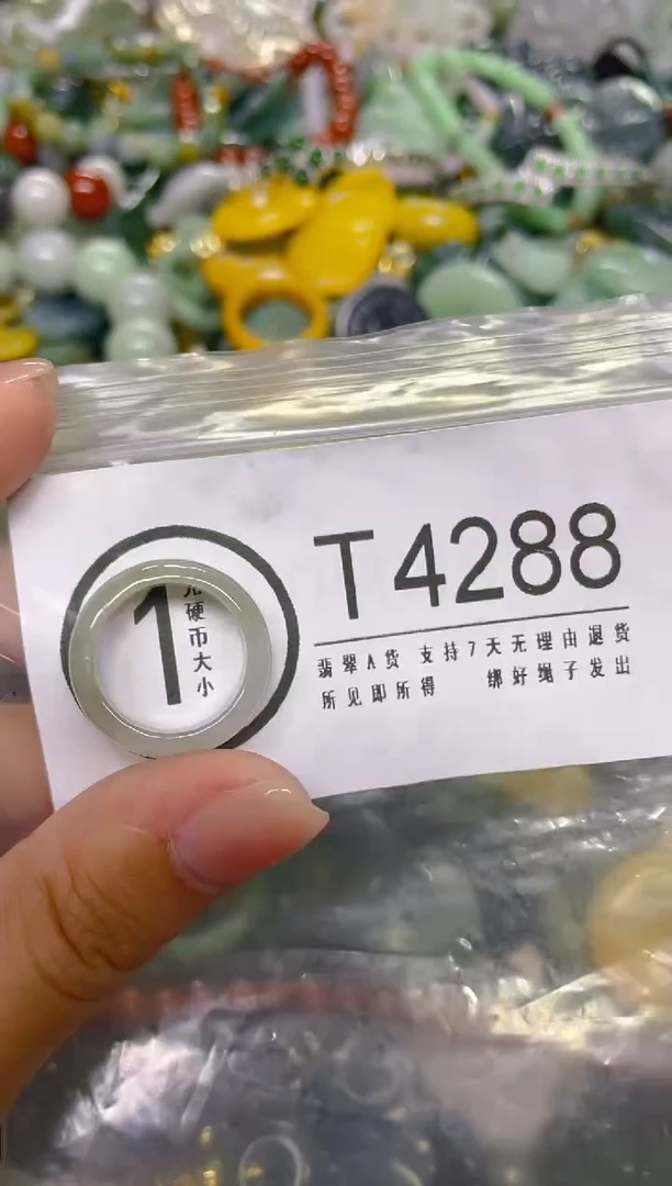 颈饰未镶嵌翡翠15.3MM/ T /翡翠A货，一件也是批发价