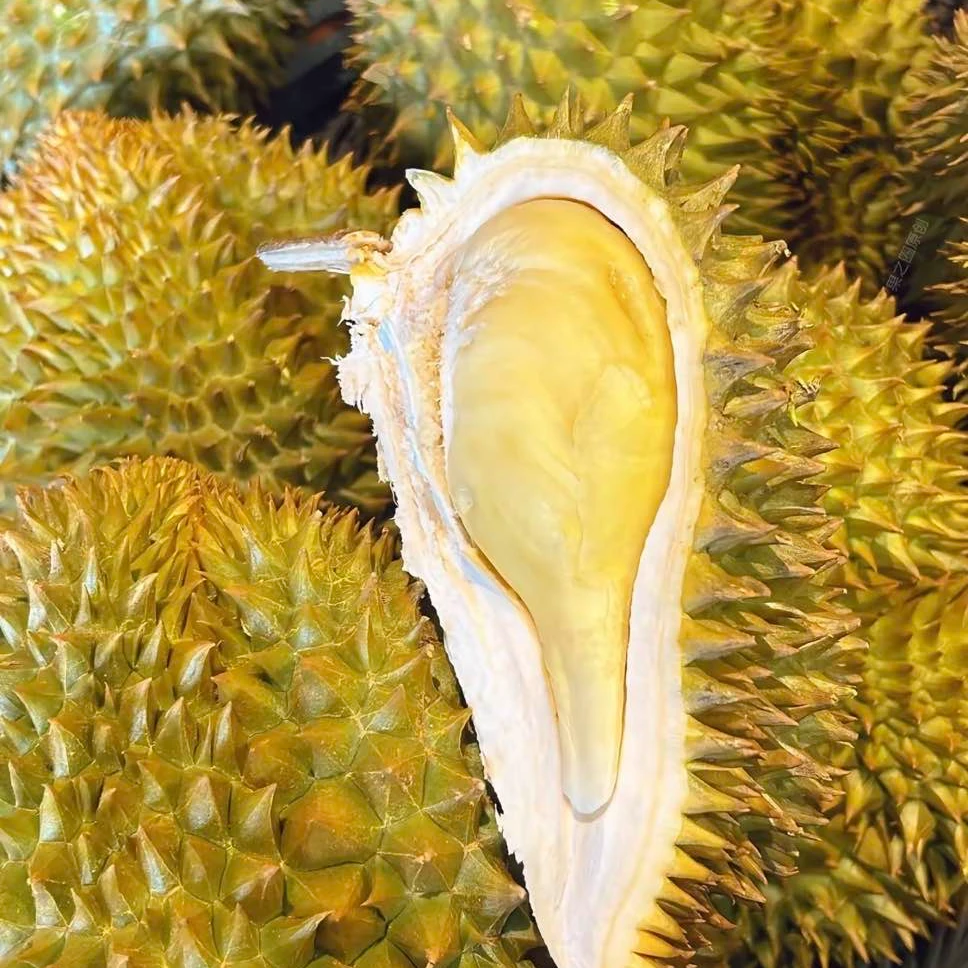 【店长推荐】树熟泰国金枕榴莲鲜肉（300g-600g）