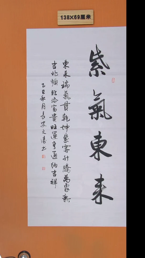 书法辛老师书法陕西西安138*69