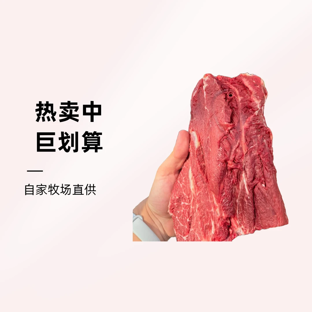 尚清源臻选匙柄（火锅/滑汤/煎牛排）2.5kg
