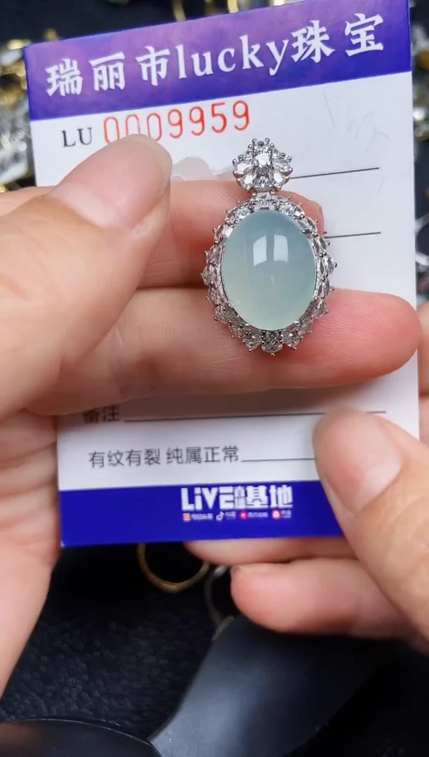 翡翠银S925镶嵌颈饰9959