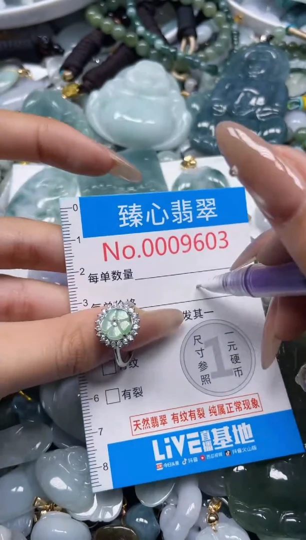 颈饰未镶嵌翡翠9603