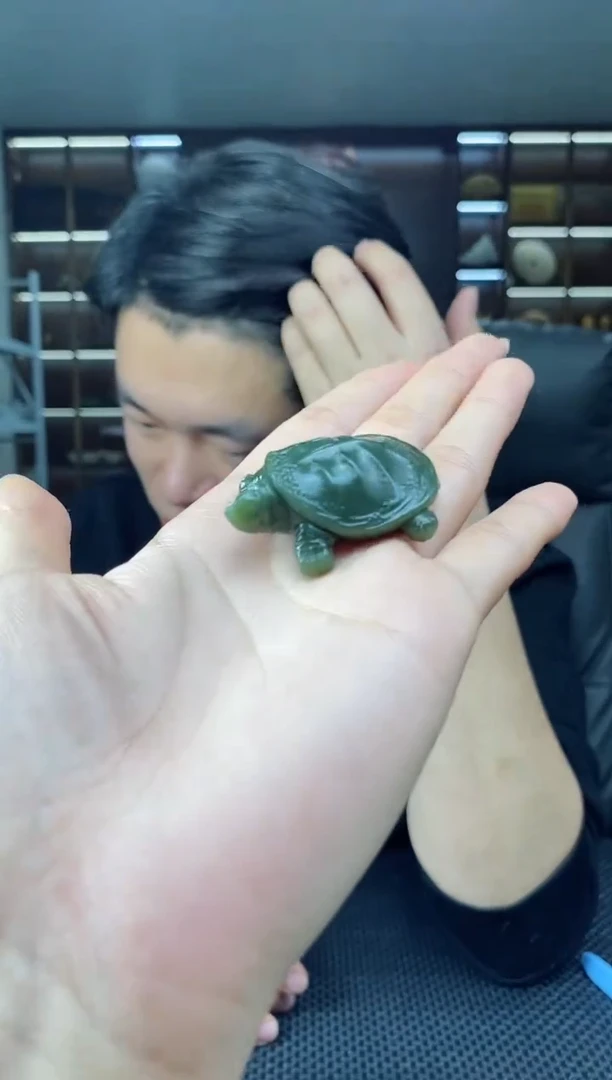 【闪购商品】和田玉颈饰未镶嵌小乌龟