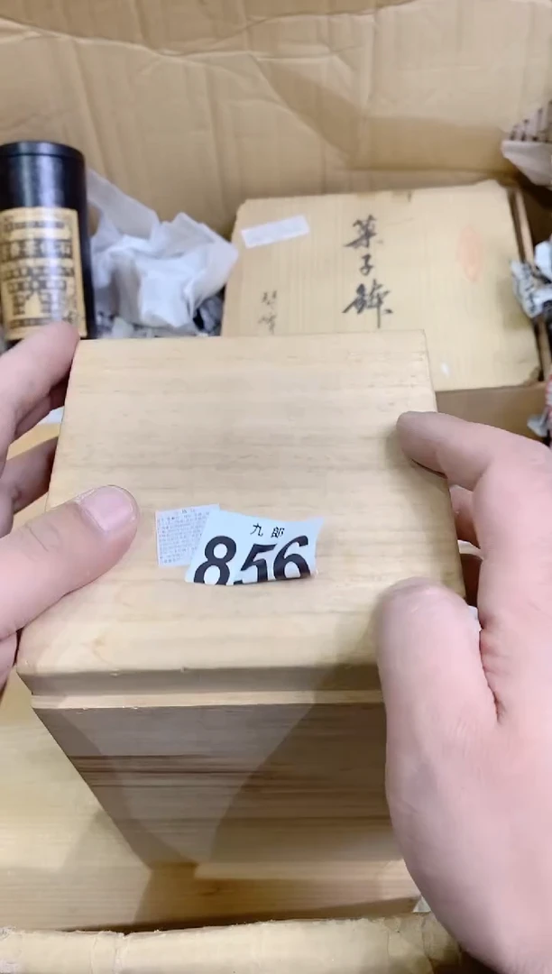 【闪购商品】瓷片856 青一杨子 青一杨子