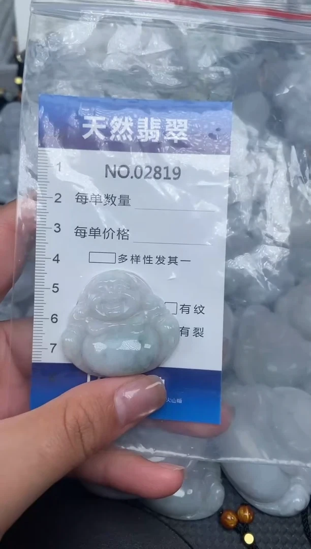 颈饰未镶嵌翡翠纯天然A货翡翠2819