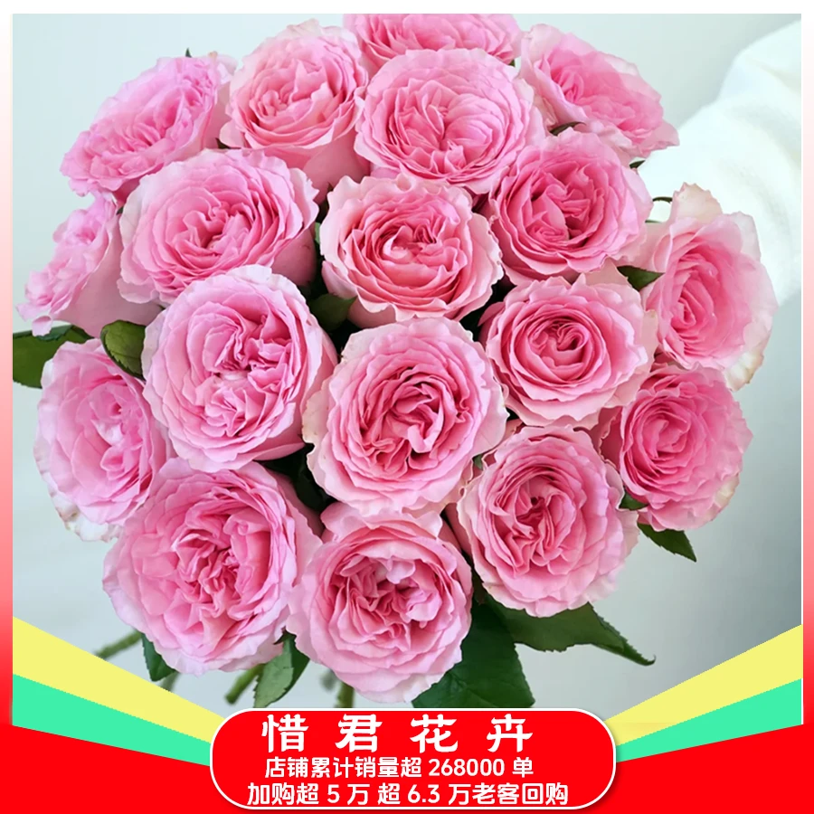 【洛神玫瑰】拍二单升级发顺丰/京东 家用鲜花直播间现场直播卖花