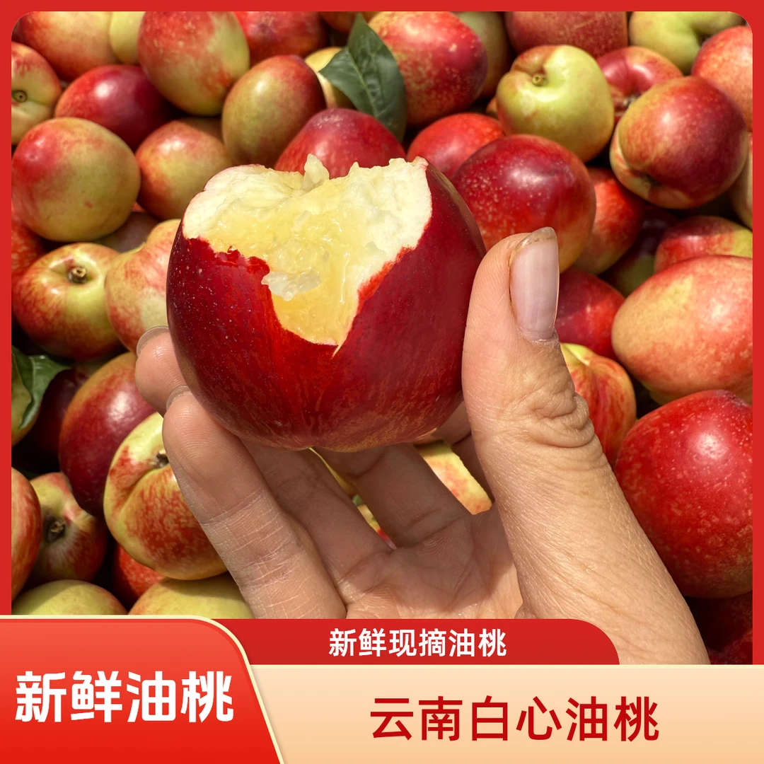 （新鲜水果）新鲜桃子云南白心油桃脆爽酸甜产地直发现摘