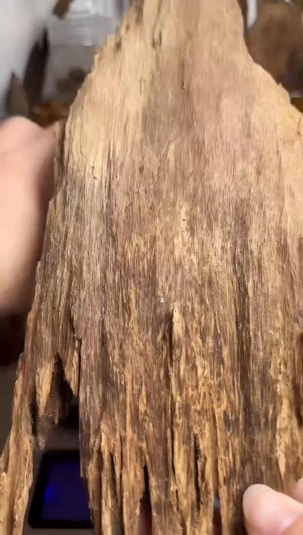 沉香沉香碎屑达拉干沉香原料131克