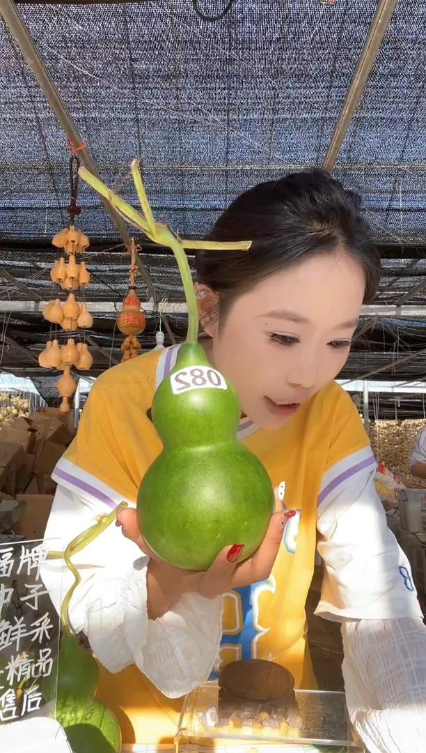 082天然葫芦摆件 一物一拍龙头不保售后