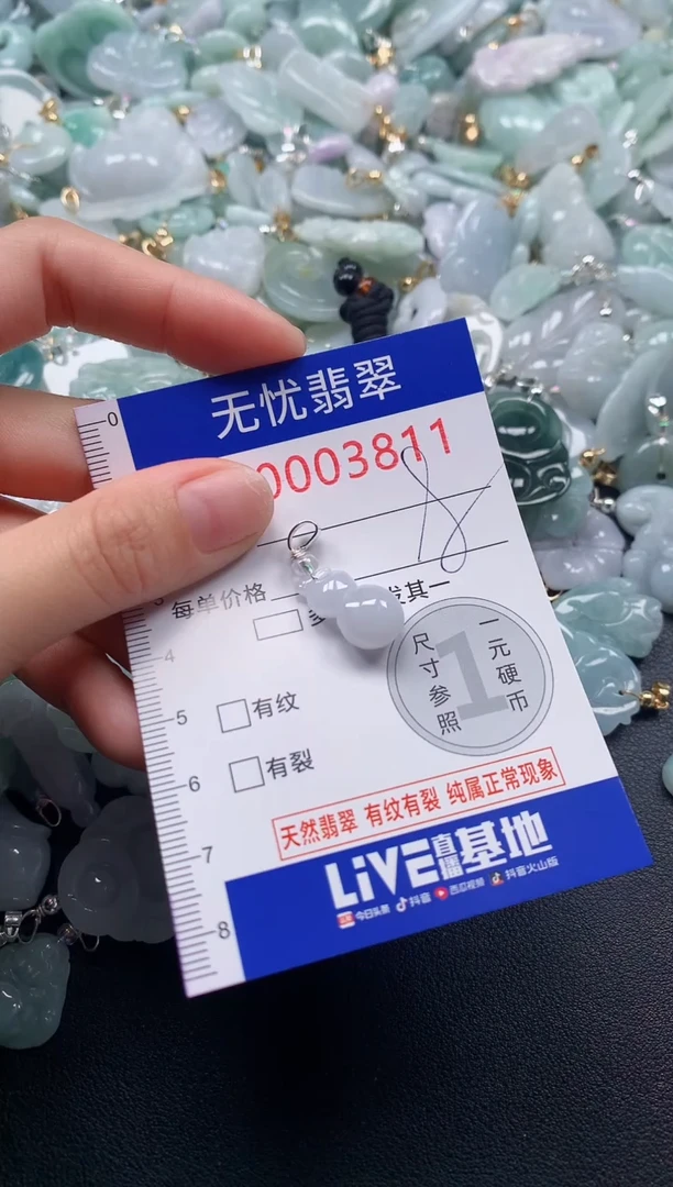 颈饰未镶嵌翡翠3811